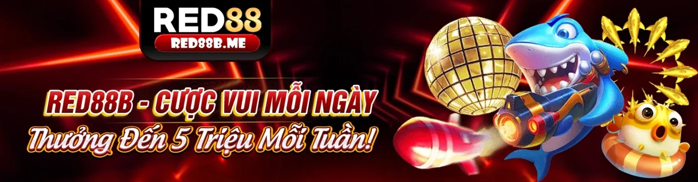 Tổng quan các loại khuyến mãi vi68