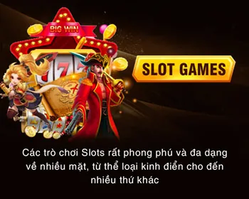 Đội ngũ chuyên gia vi68
