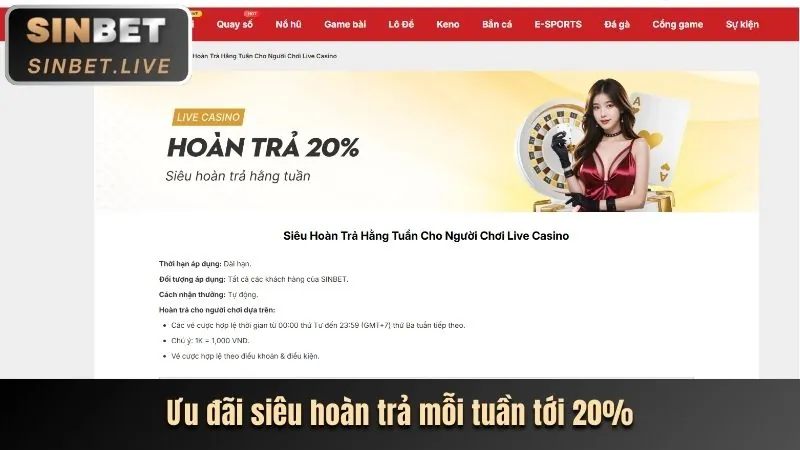 Chương trình hoàn trả vi68