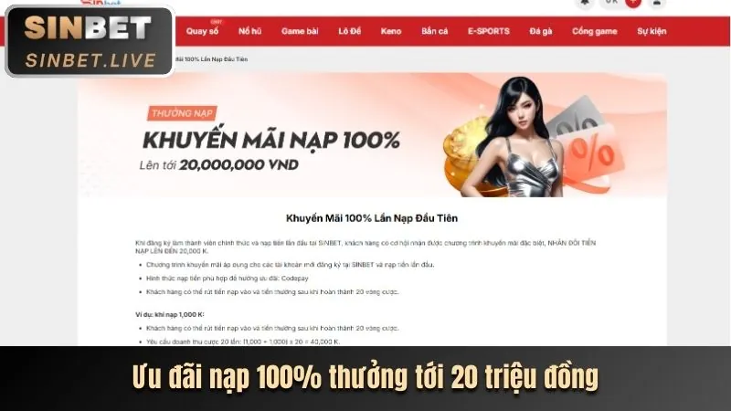 Tổng quan các loại khuyến mãi vi68